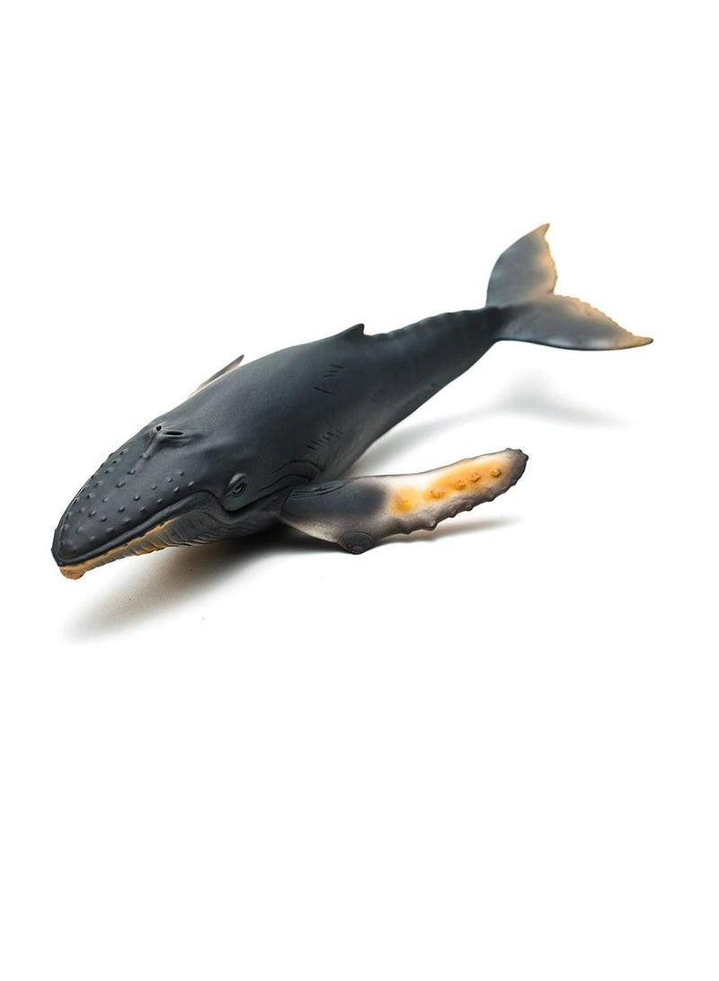 Collecta - Humpback Whale - 88347 - Image 2