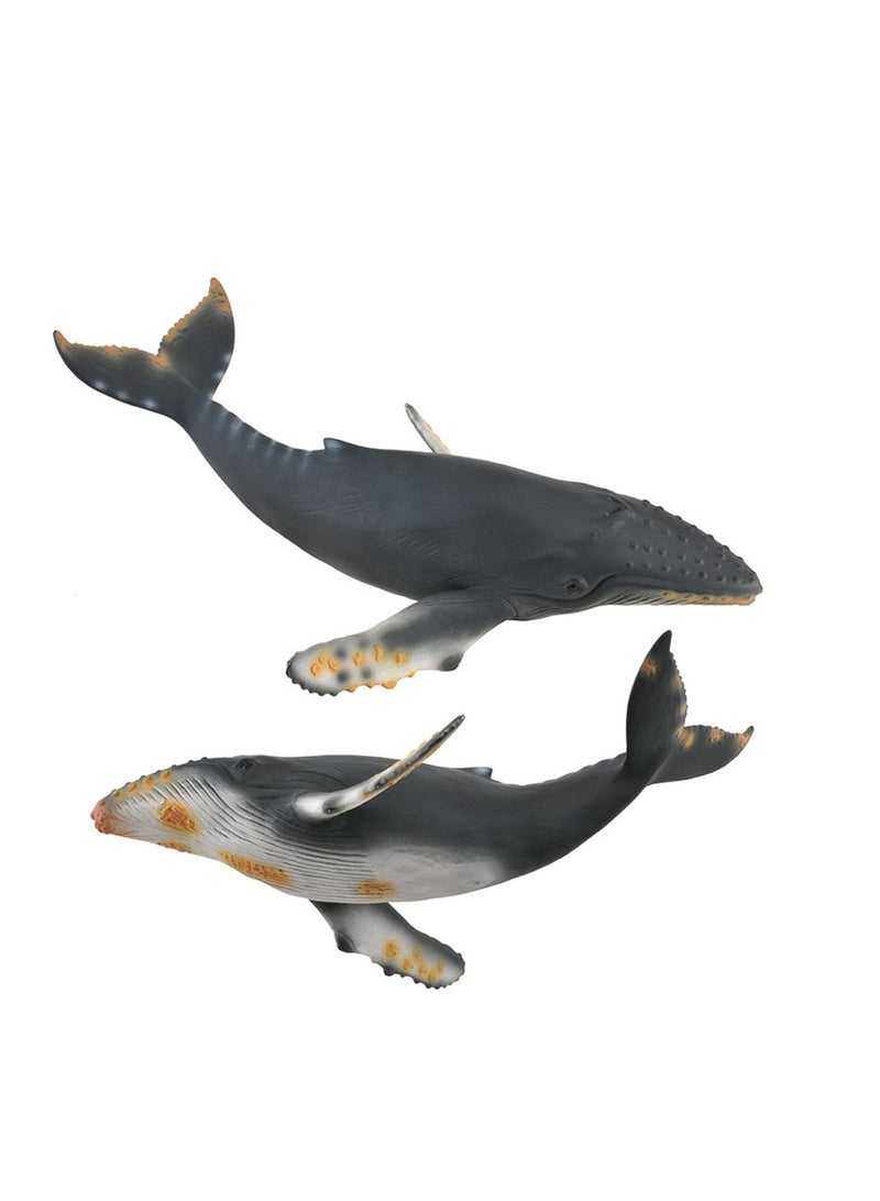 Collecta - Humpback Whale - 88347 - Image 3