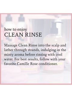 Camille Rose Camille Rose Clean Rinse Shampoo, with Honey and Peppermint to Moisturize and Clarify, for all Hair Types, 8 oz  - Image 5