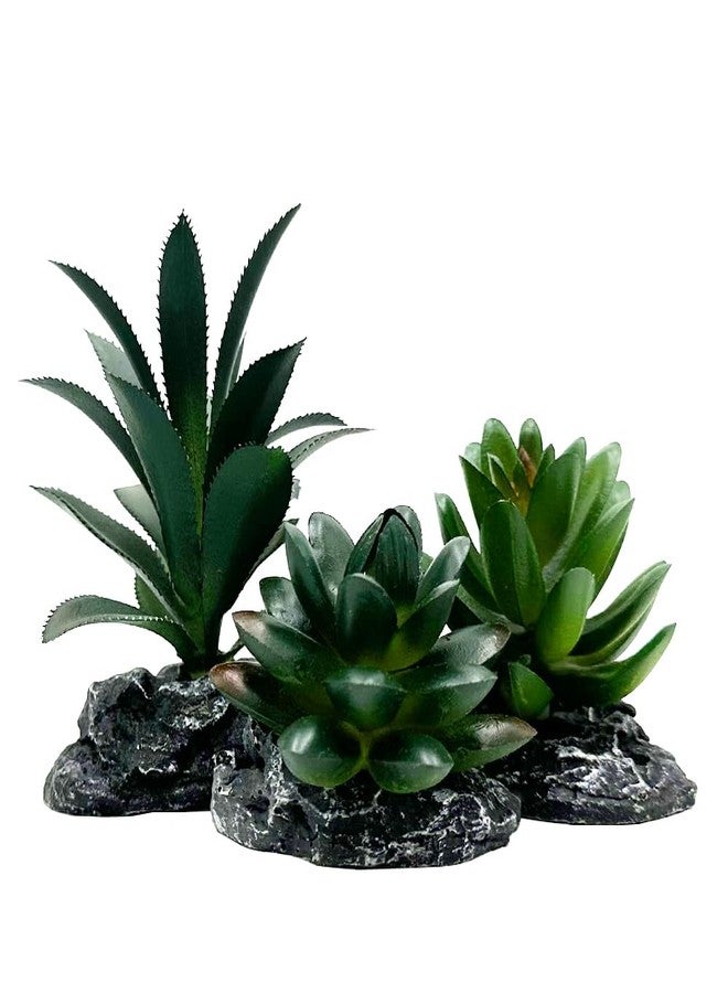 Smoothedo-Pets Reptile Artificial Plants Succulent Terrarium Decor Desert Rainforest Plant Lizard Beard Chameleon Gecko Snake Amphibious Sea Turtle Tank Accessory (Dark-Green-3pcs-Se) - Image 1