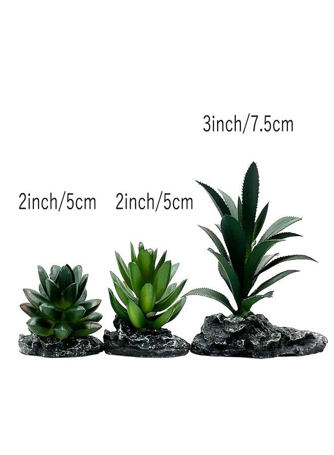 Smoothedo-Pets Reptile Artificial Plants Succulent Terrarium Decor Desert Rainforest Plant Lizard Beard Chameleon Gecko Snake Amphibious Sea Turtle Tank Accessory (Dark-Green-3pcs-Se) - Image 5