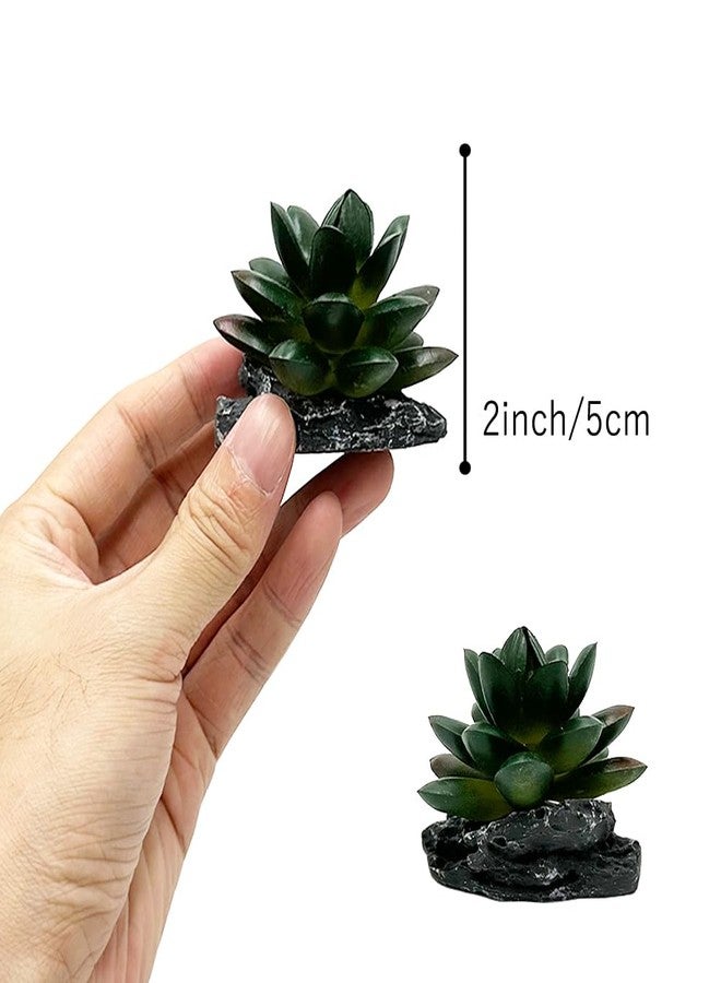 Smoothedo-Pets Reptile Artificial Plants Succulent Terrarium Decor Desert Rainforest Plant Lizard Beard Chameleon Gecko Snake Amphibious Sea Turtle Tank Accessory (Dark-Green-3pcs-Se) - Image 2