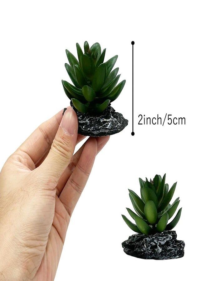 Smoothedo-Pets Reptile Artificial Plants Succulent Terrarium Decor Desert Rainforest Plant Lizard Beard Chameleon Gecko Snake Amphibious Sea Turtle Tank Accessory (Dark-Green-3pcs-Se) - Image 3