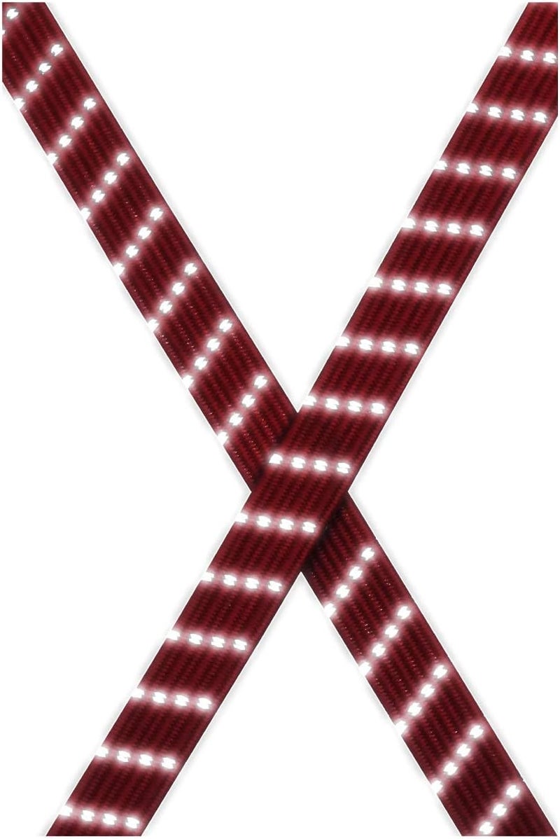 Rynox حزام/حبل الأمتعة العاكس للدراجات النارية من Gripper (أحمر) - Image 1