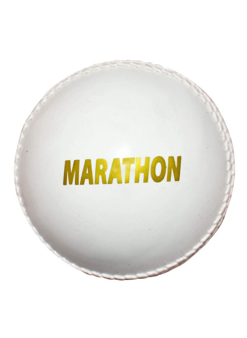 DSC Incredible Marathon Synthetic Cricket Ball | Consistent Performance Ball Professional | Synthetic Cricket Ball | Durable and Long-Lasting  - Image 4