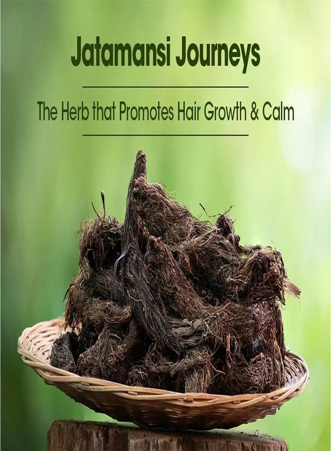 VS Products Jatamansi Root, 75g | Natural Jatamansi | Herbal Root - Image 4