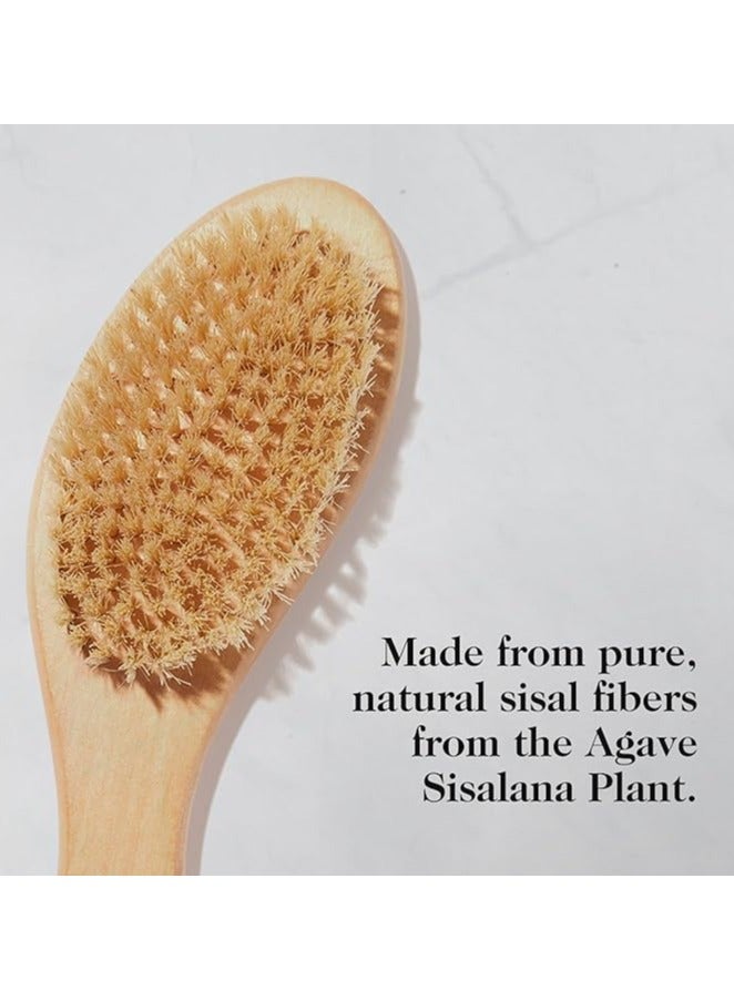 AYSHI * HIGH QUALITY* Dry Brush from Sisal Natural Fibers and FSC Certified Wood  - Image 3
