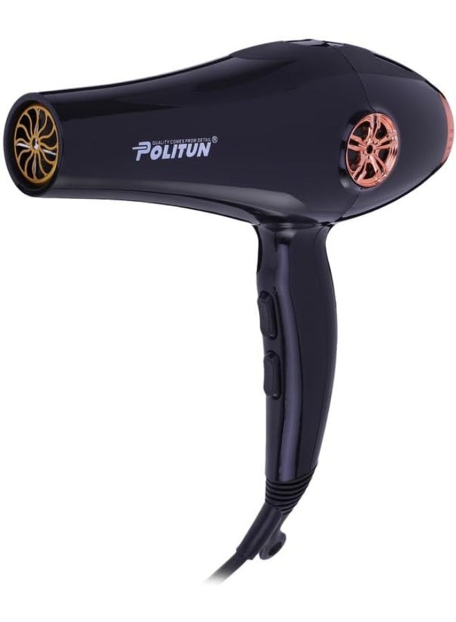 POLITUN Hair Dryer Salon Pt-v8 - Image 1