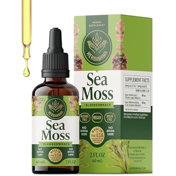 HERBAMAMA Irish Sea Moss Liquid Drops - Vegan Immune Support with Sea Moss & Bladderwrack Complex Tincture - Non-GMO, Alcohol & Sugar-Free Chondrus Crispus Extract Supplement - 28-Day Supply - Image 1