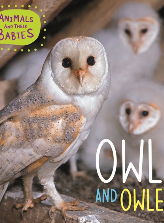 Animals and their Babies: Owls & Owlets 