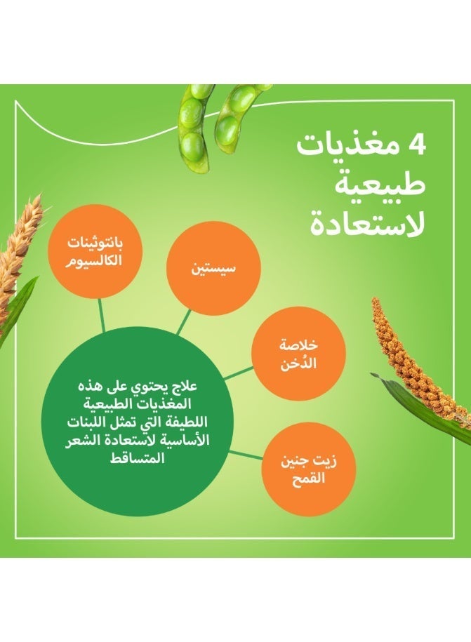 بريورين برايورين-ان لنمو الشعر 90 كبسولة(2 عبوة) - Image 5