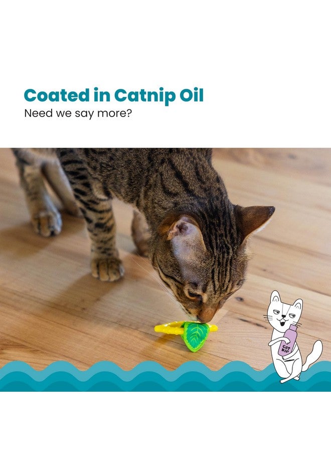 مراحل القطط عضاضة أسنان كات ستيجز بالليمون، لعبة مضغ ناعمة وملمسية للقطط، مطلية بزيت النعناع البري، لون أصفر - Image 4