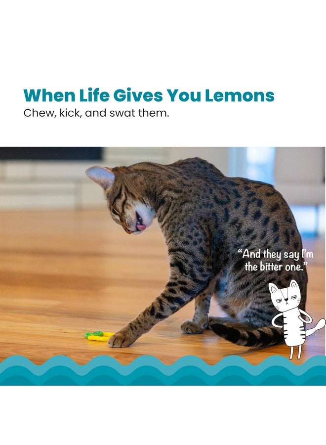 مراحل القطط عضاضة أسنان كات ستيجز بالليمون، لعبة مضغ ناعمة وملمسية للقطط، مطلية بزيت النعناع البري، لون أصفر - Image 2