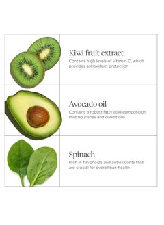Briogeo Briogeo Women's Superfoods Avocado + Kiwi Mega Moisture Mask  - Image 4