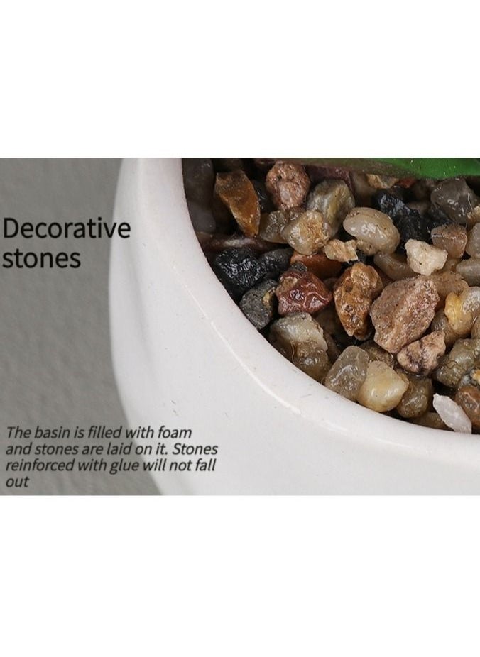 M MIAOYAN M MIAOYAN Simulation Succulent Flower Ceramic Potted Office Party Home Decoration Fake Plant Bonsai  - Image 3