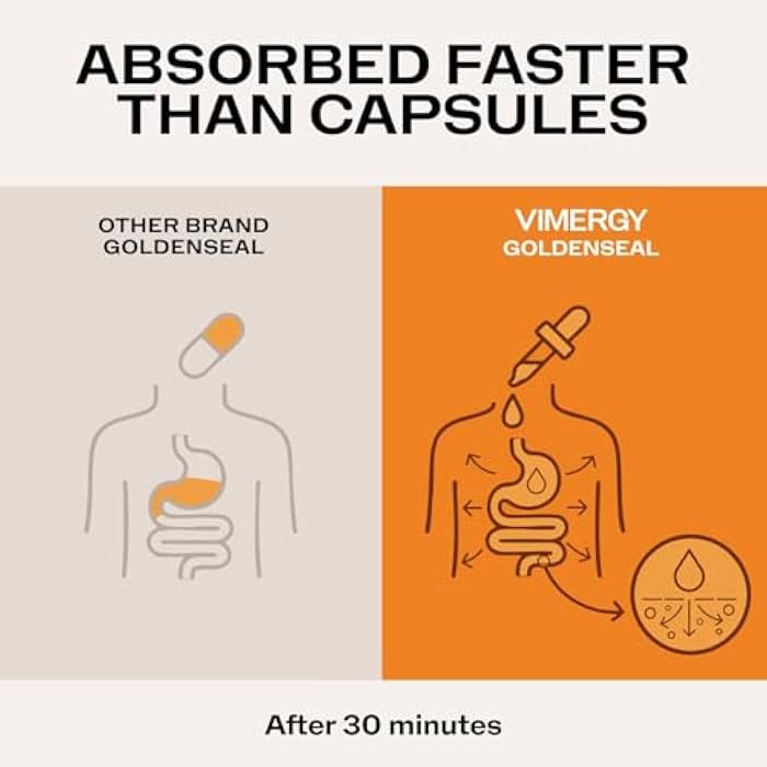 Vimergy USDA Organic Goldenseal Supplement – 57 2mL (2 Droppers or 48-54 Drops) Servings (200mg Extract Per Serving). Vegan, Alcohol-Free Golden Seal herb Drops Great for Tea (115 mL) - Image 5