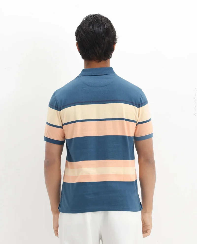 Rare Rabbit Men's Multicolor Stripe Knit Polo