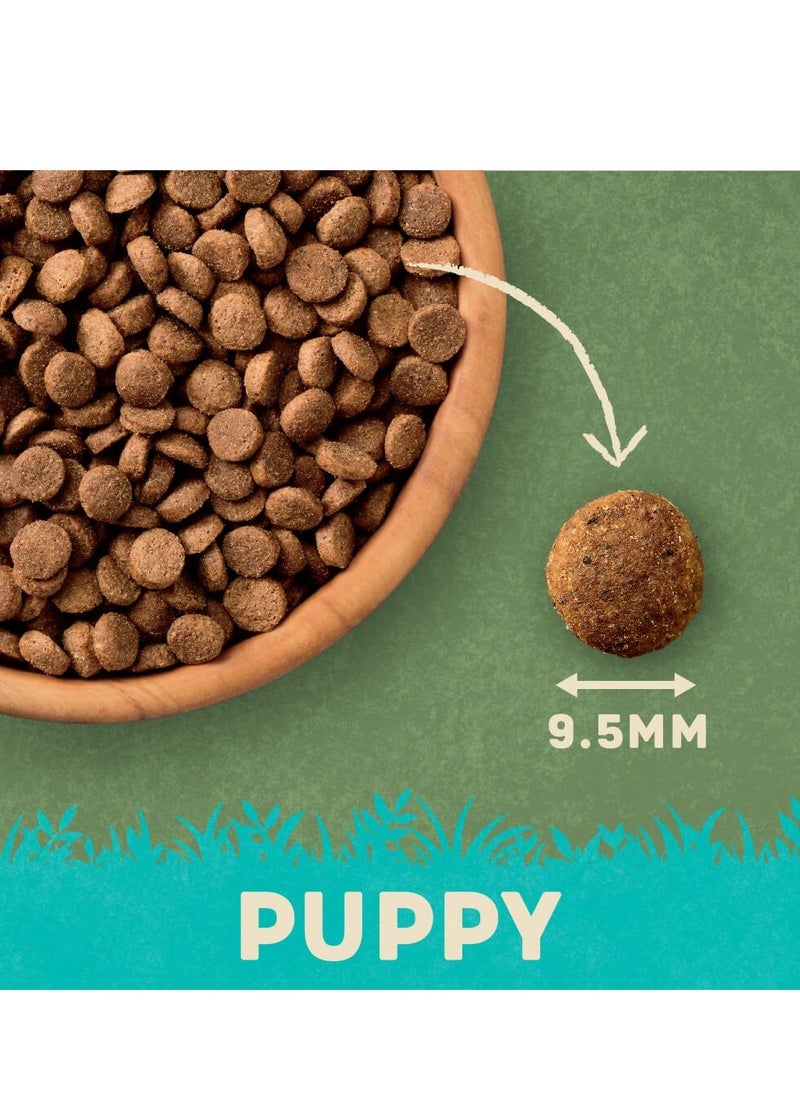 HARRINGTONS - Complete Turkey & Rice Dry Puppy Food - Image 1