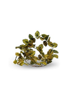 Pangea Pangea Leafy Vine for Reptile Terrarium Habitat (Japanese Laurel)  - Image 5