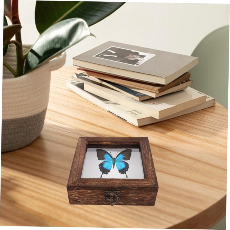 Wood Shadow Box Display Case Large Butterfly Insect Frame for Glass Wall Mount Collection - Image 5
