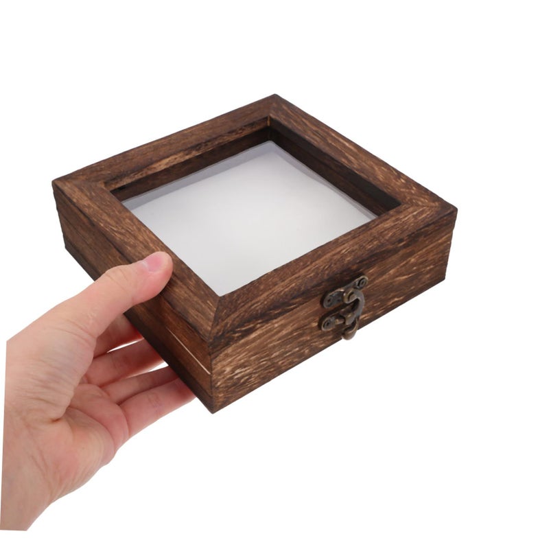 Wood Shadow Box Display Case Large Butterfly Insect Frame for Glass Wall Mount Collection - Image 4