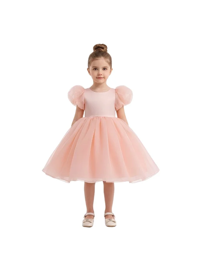 Bidani Pink Puff Sleeve Tulle Flower Girl Dress