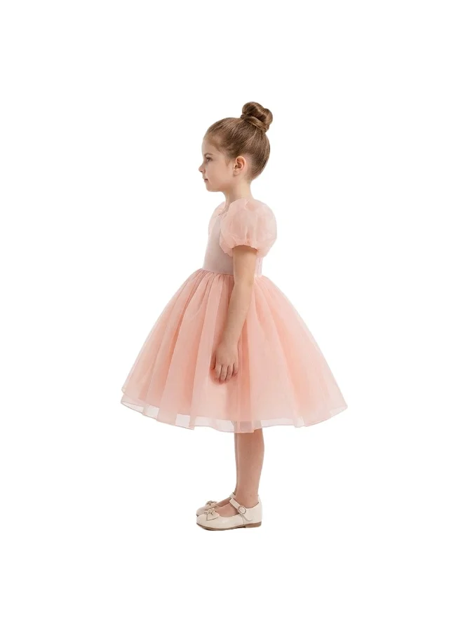 Bidani Pink Puff Sleeve Tulle Flower Girl Dress
