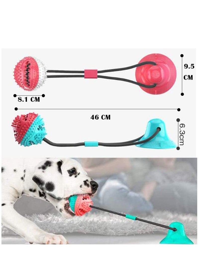 Y&D - Multifunction Molar Bite Toy Durable Dog Tug Rope Ball Chew Toys with Suction Cup - Image 1