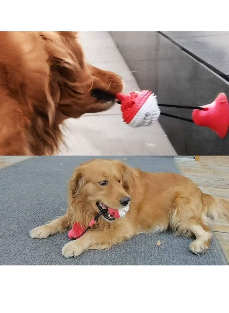 Y&D - Multifunction Molar Bite Toy Durable Dog Tug Rope Ball Chew Toys with Suction Cup - Image 1