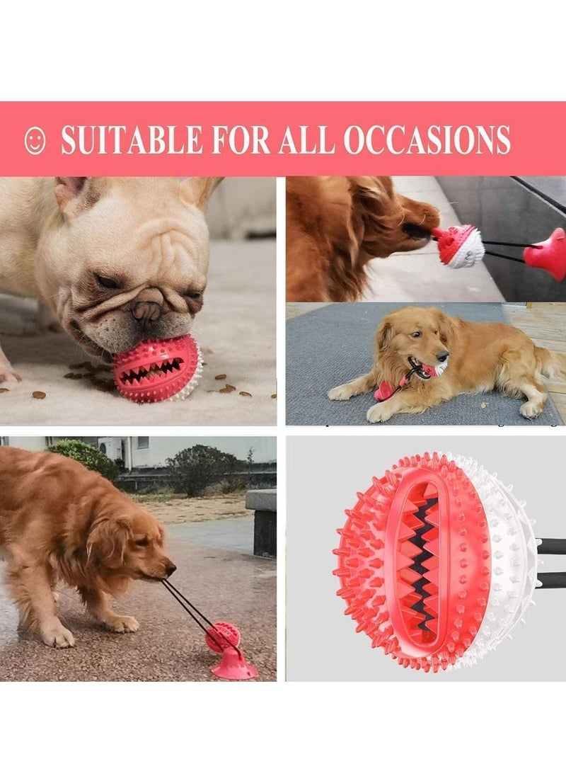 Y&D - Multifunction Molar Bite Toy Durable Dog Tug Rope Ball Chew Toys with Suction Cup - Image 1