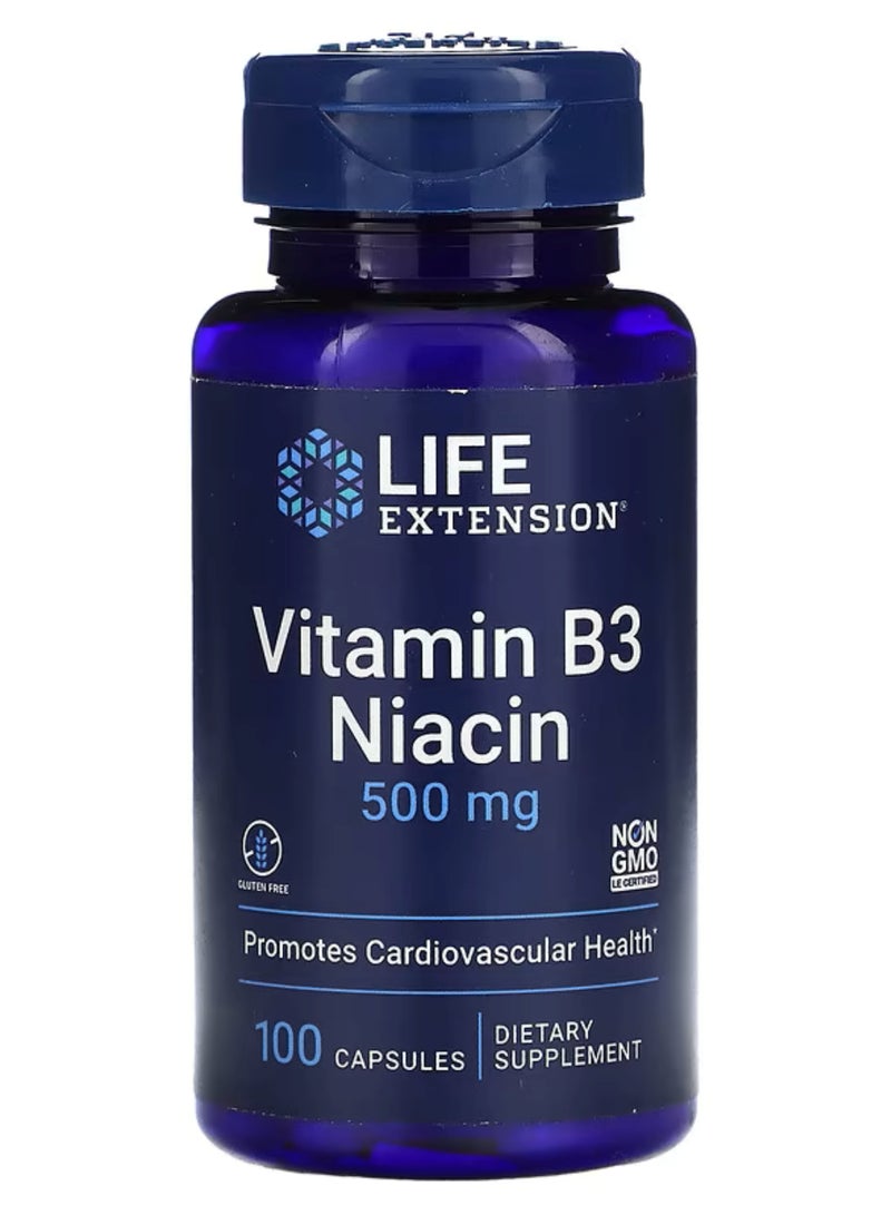 Life Extension, Vitamin B3 Niacin, 500 mg, 100 Capsules