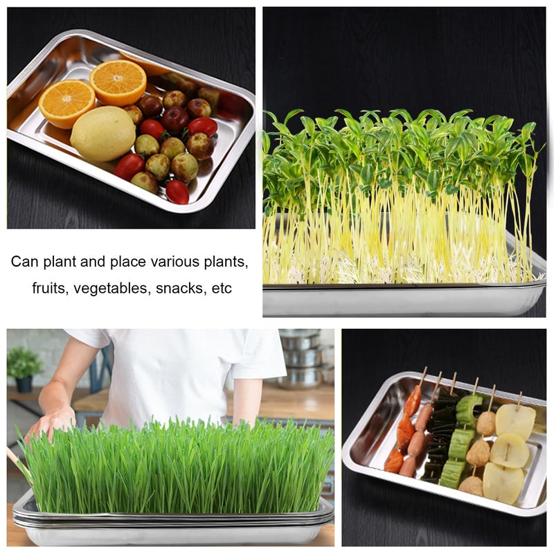 Rootrimmer Stainless Metal Trays  Stainless Steel Seed Starter Carry Tray For Nursery Seedling Pots Water Collection Transplantation (10.63 Inch?14.17 Inch  1.18"" Height  10-Pack) - Image 5