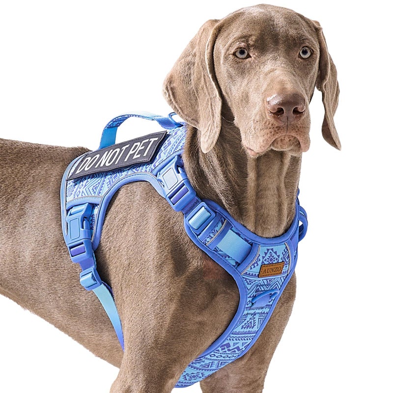 AUNZO No Pull Dog Harness for Large Dogs with 2 Metal Clips, Easy On/Off with Neck Buckle, Heavy Duty Adjustable Tactical Puppy Vest, Breathable Pet Harness with Easy Control Handle, Blue L - Image 1