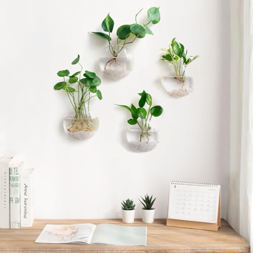 Mkono Wall Hanging Glass Terrariums Planter Oblate Flower Vase for Hydroponics Plants, Bathroom, Home Office Living Room Decor, Set of 6 - Image 3