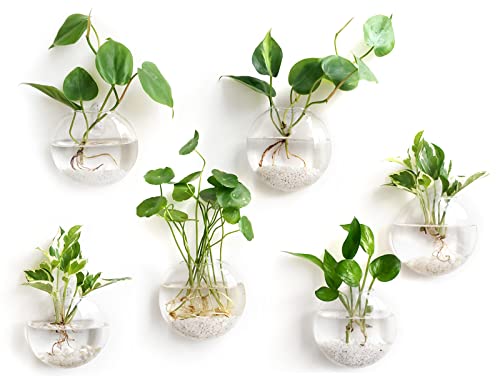 Mkono Wall Hanging Glass Terrariums Planter Oblate Flower Vase for Hydroponics Plants, Bathroom, Home Office Living Room Decor, Set of 6 - Image 1