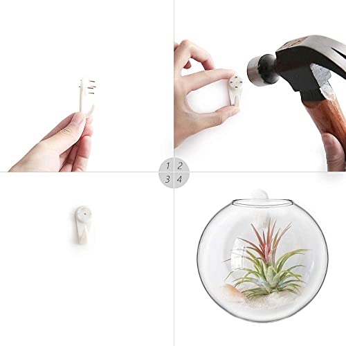 Mkono Wall Hanging Glass Terrariums Planter Oblate Flower Vase for Hydroponics Plants, Bathroom, Home Office Living Room Decor, Set of 6 - Image 5