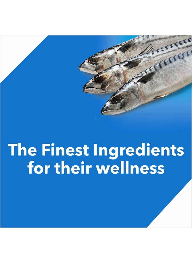 Drools Adult Dry Cat Food, Ocean Fish, 3Kg With Free 1.2Kg, Total 4.2 Kg Pack - Image 5