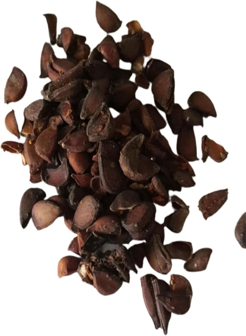 جي جوت 100 قطعة من بذور البابايا للحديقة المنزلية، شتلات فواكه طبيعية غير معدلة وراثيًا للحديقة، بذور البابايا، مقاس واحد - Image 1