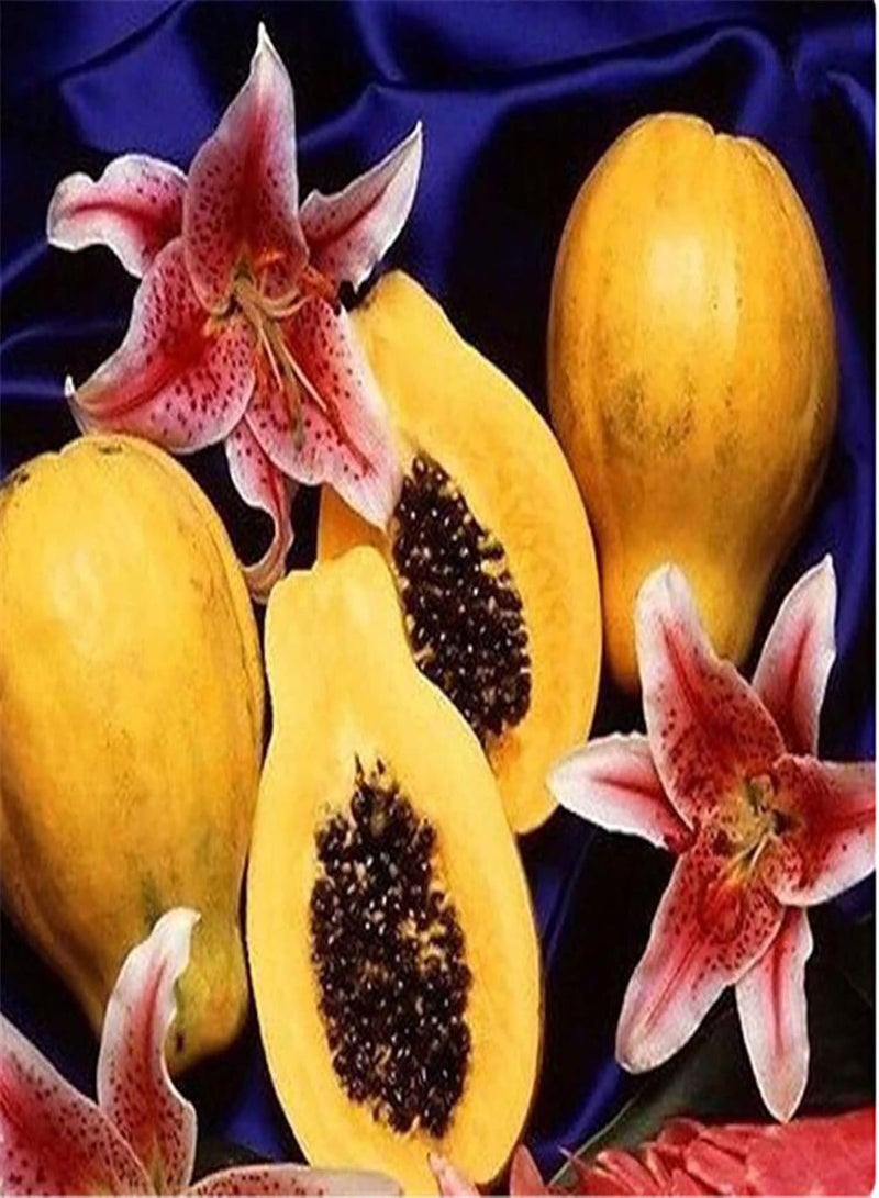 جي جوت 100 قطعة من بذور البابايا للحديقة المنزلية، شتلات فواكه طبيعية غير معدلة وراثيًا للحديقة، بذور البابايا، مقاس واحد - Image 3