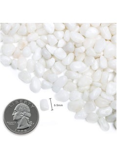Generic 5LBS (2.25KG) Natural Polished Decorative White Pebbles - Small Stones 3/8" Gravel Size for Plants Home DIY Decor Aquarium Gravel Vase Fillers Fairy Garden Landscaping Outdoor Stone  - Image 2