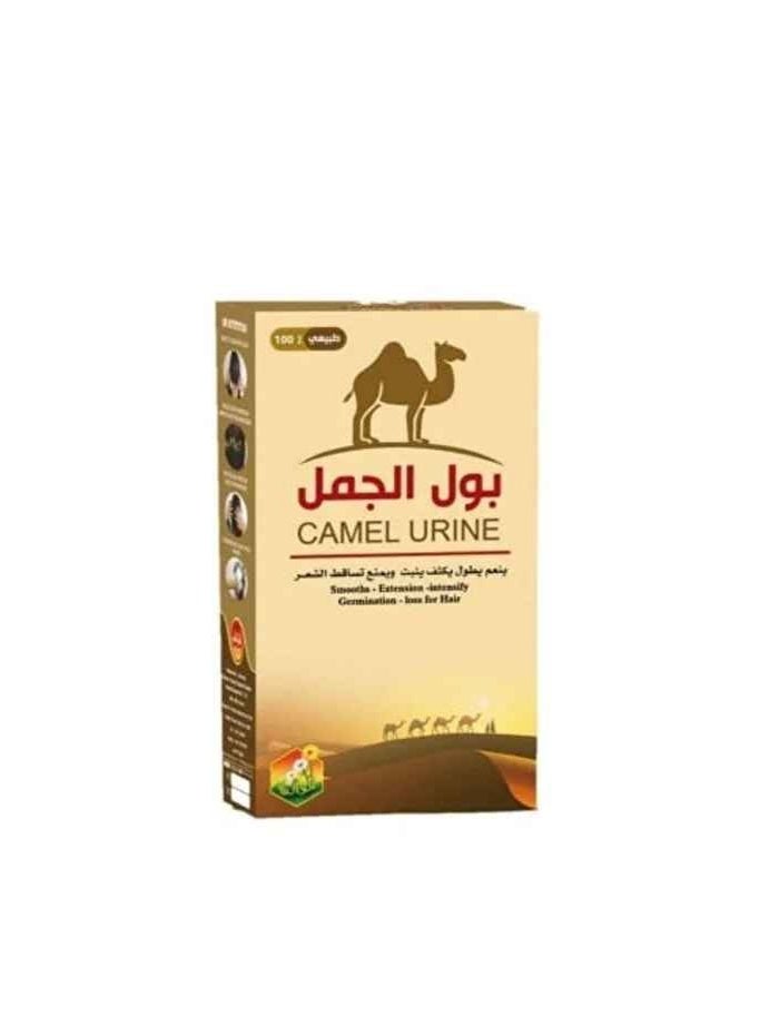 Camel urine oil for hair