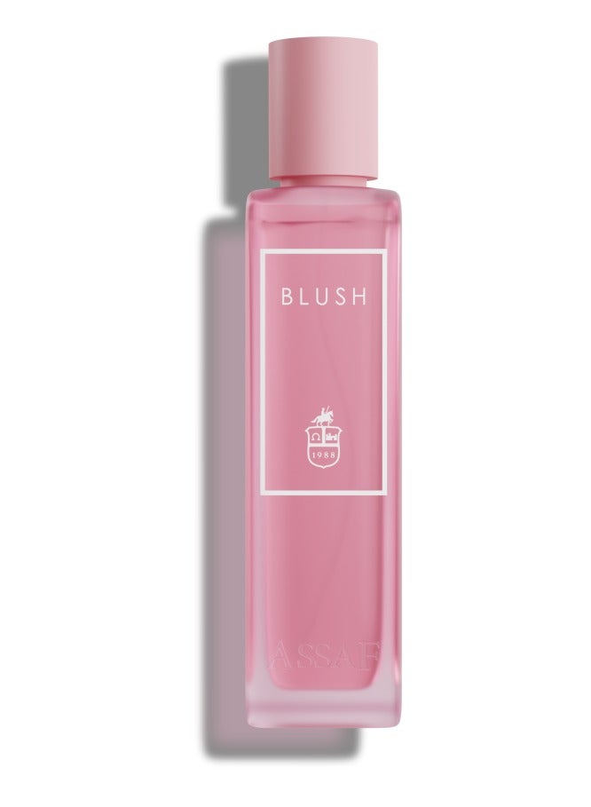 ASSAF Blush Assaf  Vaporisateur_Natural Spray  - Image 2