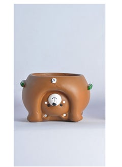 Point Brown bear decor 