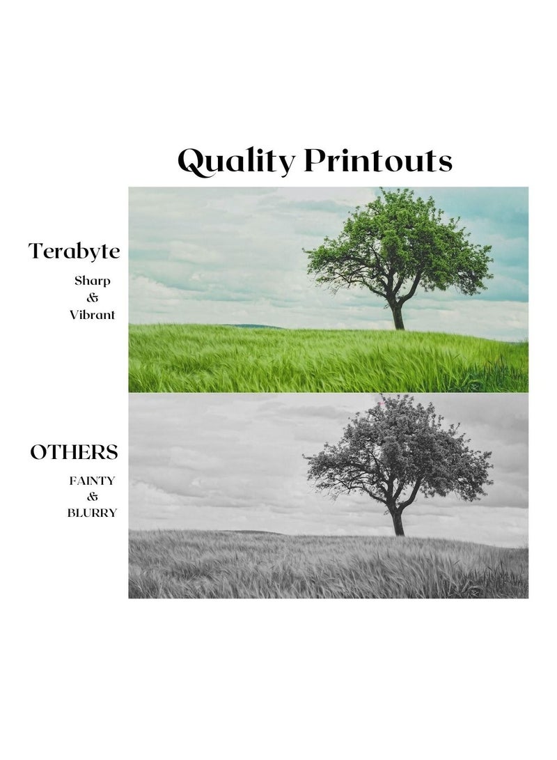 Terabyte 4530(24K) COMPATIBLE TONER TERABYTE - Image 2