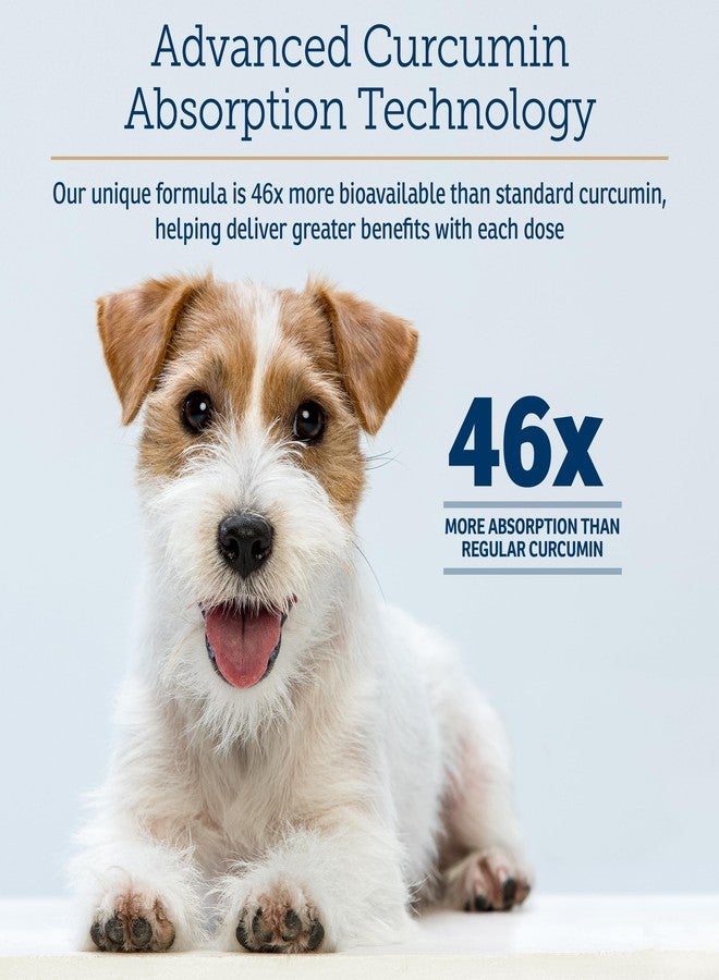 ركس فيتامينز فيتامينات Rx CurcuWIN - الكركمين للكلاب والقطط - فيتامينات ومكملات غذائية، تخفيف الحساسية - يدعم المناعة ويساعد على الهضم - مكمل غذائي للمفاصل - 90 قرصًا - Image 3