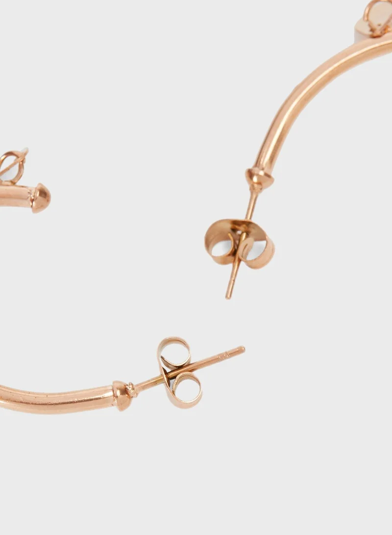 PARFOIS Stainless Steel Rose Gold Earrings