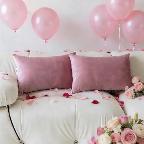 Demetex Pink Rectangle 12x20 Pillow Covers Decorative Pillow Cases Soft Velvet Throw Pillows for Couch Sofa Valentines Day Decorations Set of 2 12 x 20 inch Blush Pink
