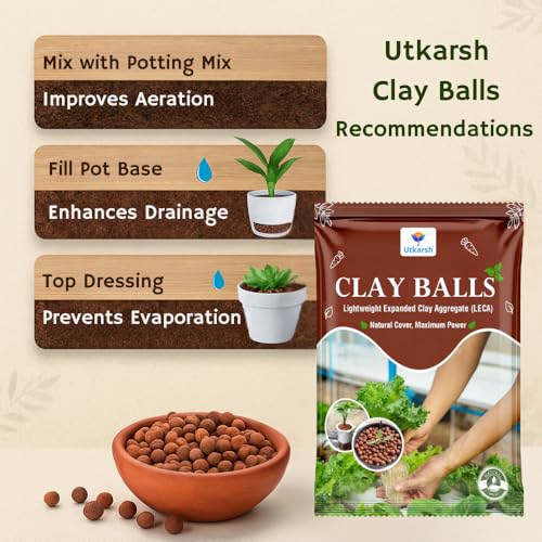 Utkarsh LECA Clay Balls for Plants - 900 gm/3 Litre, Hydroton Balls to Improve Aeration & Drainage in Soil, Used for Hydroponics, Aquaponics, Indoor and Outdoor Pots, Soilless Gardening, Size: 8-15 mm - Image 5