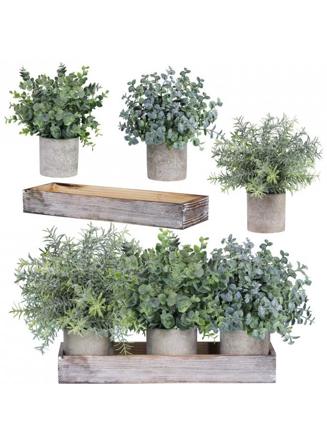 Winlyn Set Of 3 Mini Potted Artificial Eucalyptus Plants Faux Rosemary Plant Assortment With Wood Planter Box For Indoor Office Desk Apartment Wedding Tabletop Greenery Decorations 8.7" Tall - Image 1