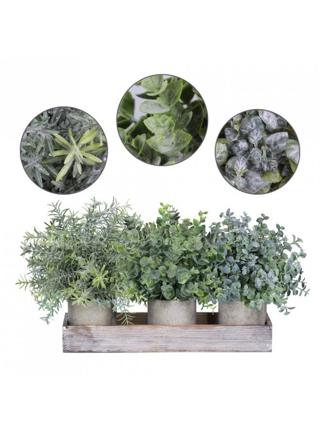 Winlyn Set Of 3 Mini Potted Artificial Eucalyptus Plants Faux Rosemary Plant Assortment With Wood Planter Box For Indoor Office Desk Apartment Wedding Tabletop Greenery Decorations 8.7" Tall - Image 2